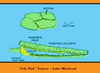 Juvenile Tepees, Lake MacLeod, Western Australia: diagram by Jack A. Babcock