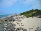 Pleistocene reef, beach, and dunes. Photo taken by Christopher Kendall