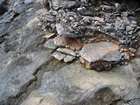 Pleistocene reef, beach, and dunes. Photo taken by Christopher Kendall