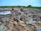 Pleistocene reef, beach, and dunes. Photo taken by Christopher Kendall