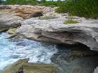 Pleistocene reef, beach, and dunes. Photo taken by Christopher Kendall