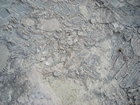 Pleistocene reef, beach, and dunes. Photo taken by Christopher Kendall