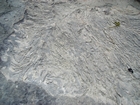 Pleistocene reef, beach, and dunes. Photo taken by Christopher Kendall