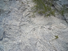 Pleistocene reef, beach, and dunes. Photo taken by Christopher Kendall