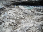 Pleistocene reef, beach, and dunes. Photo taken by Christopher Kendall