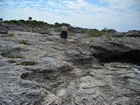 Pleistocene reef, beach, and dunes. Photo taken by Christopher Kendall