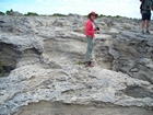 Pleistocene reef, beach, and dunes. Photo taken by Christopher Kendall