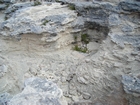 Pleistocene reef, beach, and dunes. Photo taken by Christopher Kendall