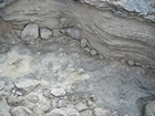 Pleistocene reef, beach, and dunes. Photo taken by Christopher Kendall