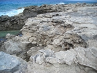 Pleistocene reef, beach, and dunes. Photo taken by Christopher Kendall