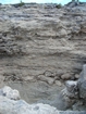 Pleistocene reef, beach, and dunes. Photo taken by Christopher Kendall