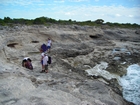 Pleistocene reef, beach, and dunes. Photo taken by Christopher Kendall