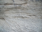 Pleistocene reef, beach, and dunes. Photo taken by Christopher Kendall