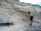 Pleistocene reef, beach, and dunes. Photo taken by Christopher Kendall