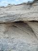 Pleistocene reef, beach, and dunes. Photo taken by Christopher Kendall