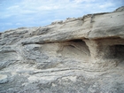 Pleistocene reef, beach, and dunes. Photo taken by Christopher Kendall