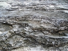 Pleistocene reef, beach, and dunes. Photo taken by Christopher Kendall