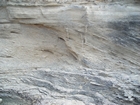 Pleistocene reef, beach, and dunes. Photo taken by Christopher Kendall