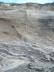 Pleistocene reef, beach, and dunes. Photo taken by Christopher Kendall