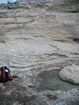 Pleistocene reef, beach, and dunes. Photo taken by Christopher Kendall