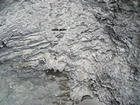 Pleistocene reef, beach, and dunes. Photo taken by Christopher Kendall