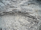 Pleistocene reef, beach, and dunes. Photo taken by Christopher Kendall