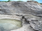 Pleistocene reef, beach, and dunes. Photo taken by Christopher Kendall