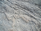 Pleistocene reef, beach, and dunes. Photo taken by Christopher Kendall