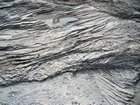 Pleistocene reef, beach, and dunes. Photo taken by Christopher Kendall