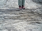 Pleistocene reef, beach, and dunes. Photo taken by Christopher Kendall