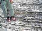 Pleistocene reef, beach, and dunes. Photo taken by Christopher Kendall