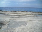 Pleistocene reef, beach, and dunes. Photo taken by Christopher Kendall