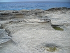 Pleistocene reef, beach, and dunes. Photo taken by Christopher Kendall