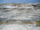 Pleistocene reef, beach, and dunes. Photo taken by Christopher Kendall