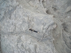 Pleistocene reef, beach, and dunes. Photo taken by Christopher Kendall