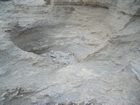 Pleistocene reef, beach, and dunes. Photo taken by Christopher Kendall