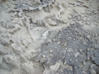 Pleistocene reef, beach, and dunes. Photo taken by Christopher Kendall