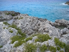 Pleistocene reef, beach, and dunes. Photo taken by Christopher Kendall