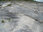 Pleistocene reef, beach, and dunes. Photo taken by Christopher Kendall