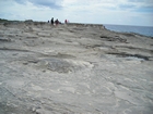 Pleistocene reef, beach, and dunes. Photo taken by Christopher Kendall