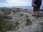 Pleistocene reef, beach, and dunes. Photo taken by Christopher Kendall