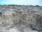 Pleistocene reef, beach, and dunes. Photo taken by Christopher Kendall