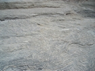 Pleistocene reef, beach, and dunes. Photo taken by Christopher Kendall