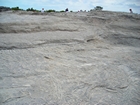 Pleistocene reef, beach, and dunes. Photo taken by Christopher Kendall