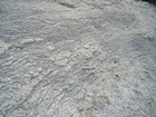 Pleistocene reef, beach, and dunes. Photo taken by Christopher Kendall