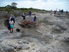 Pleistocene reef, beach, and dunes. Photo taken by Christopher Kendall