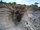 Pleistocene reef, beach, and dunes. Photo taken by Christopher Kendall