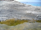 Pleistocene reef, beach, and dunes. Photo taken by Christopher Kendall