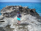 Pleistocene reef, beach, and dunes. Photo taken by Christopher Kendall