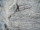 Pleistocene reef, beach, and dunes. Photo taken by Christopher Kendall